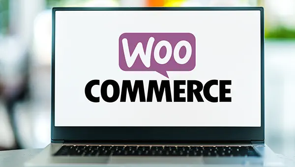 i can sell products on wordpress using the woocommerce plugin